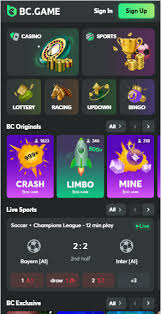 BC Game Payment Options A Comprehensive Guide