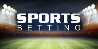 Everything You Need to Know About Safi Bet 4 Everything You Need to Know About Safi Bet 4